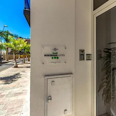 Appartement Hs Luxury Apartments Los Cristianos (Tenerife)